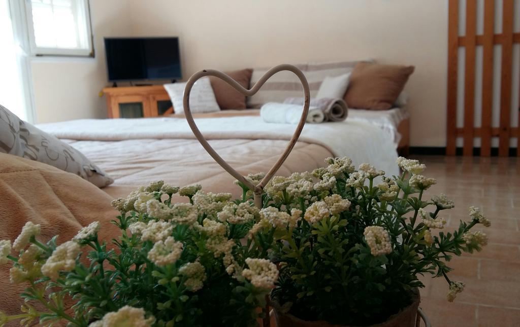 House Kate Apartment Rovinj Phòng bức ảnh