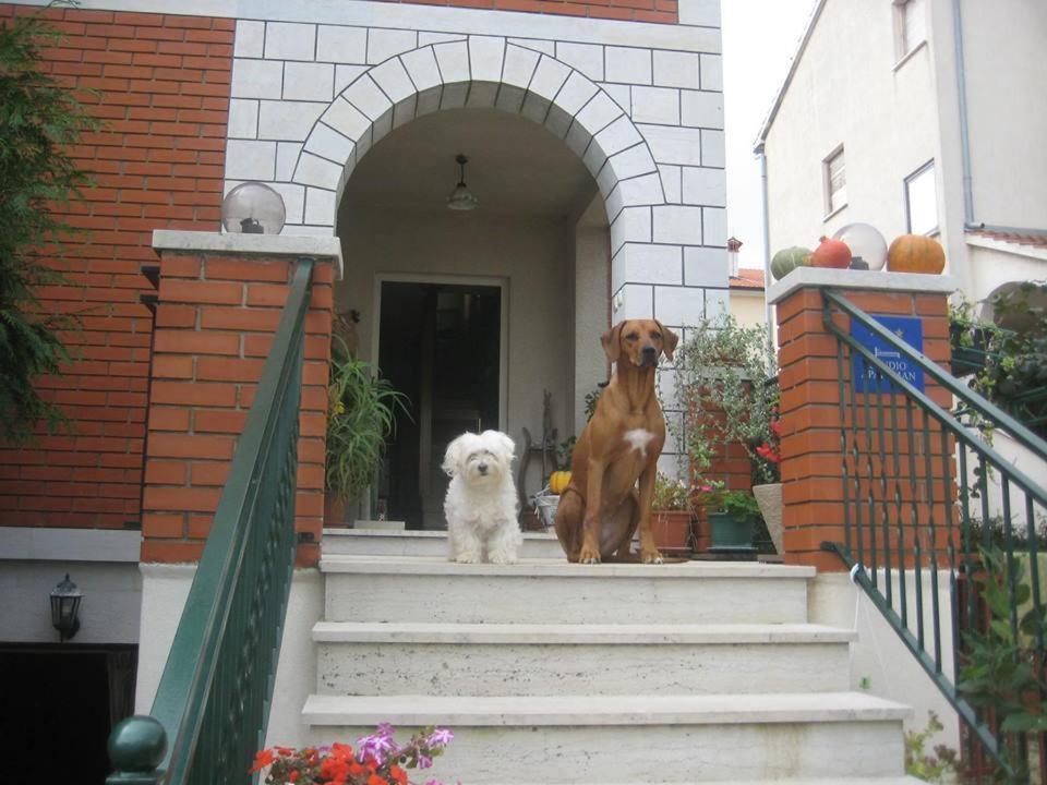 House Kate Apartment Rovinj Ngoại thất bức ảnh