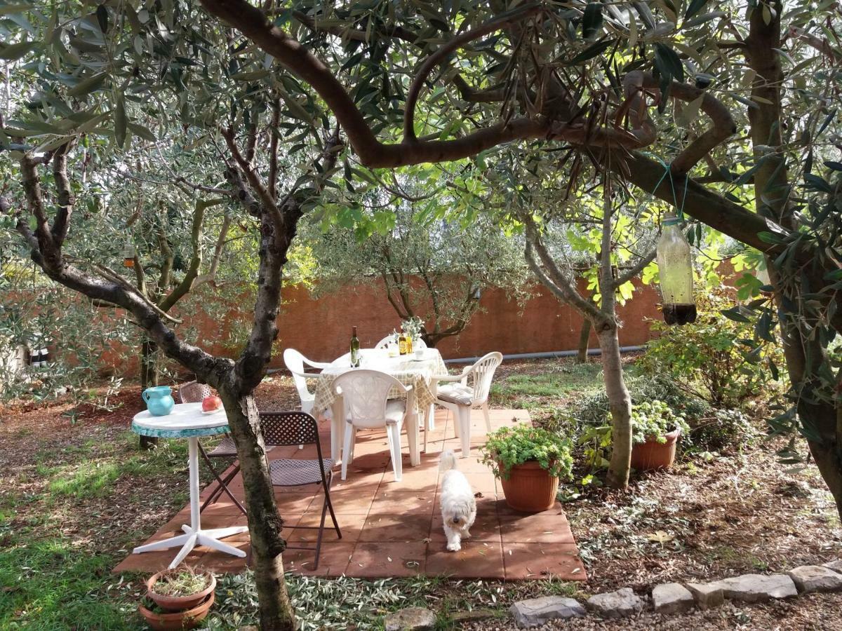 House Kate Apartment Rovinj Ngoại thất bức ảnh